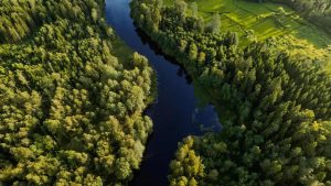 10 of the greenest countries in the world