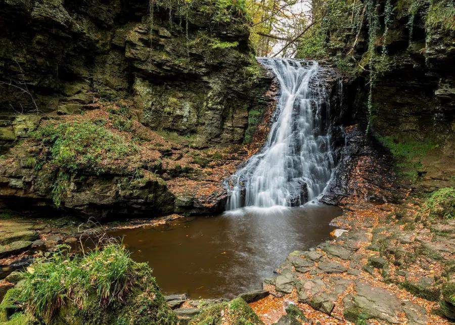 The Hareshaw Linn Walk, Northumberland
