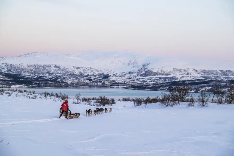 You can go on exciting excursions, such as dog sledding and hiking