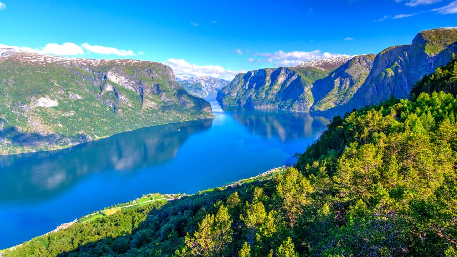 You can soak up stunning views of the Norwegian fjords