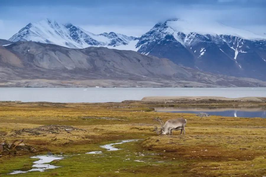 You can journey to remote islands for a deeper connection with nature