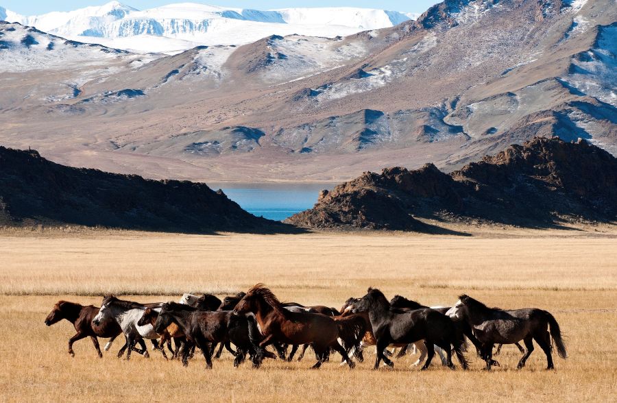 Mongolia