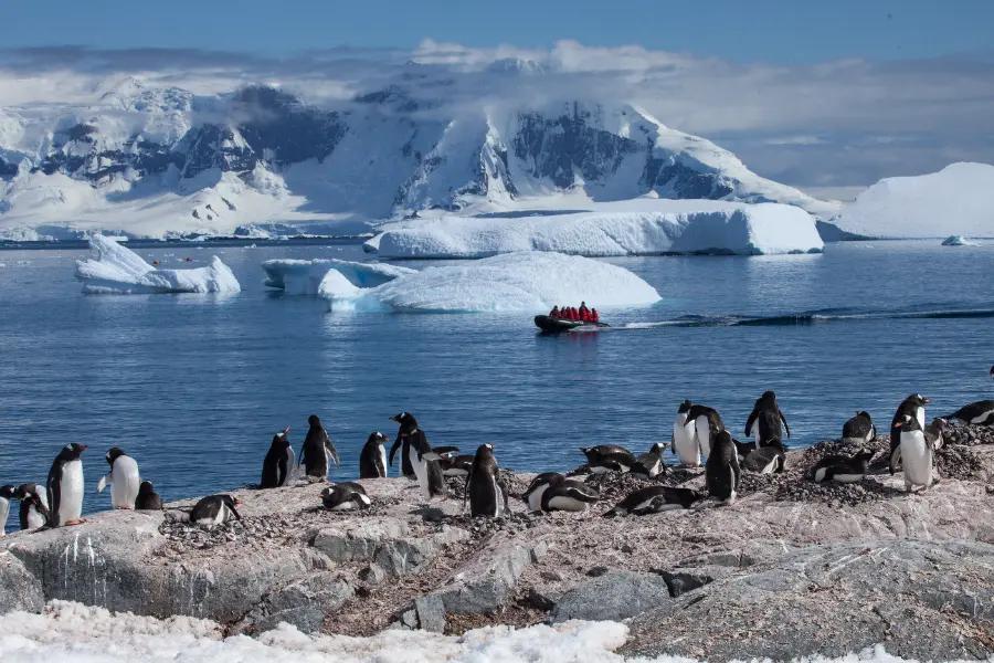 Antarctica
