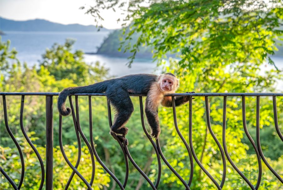 Costa Rica