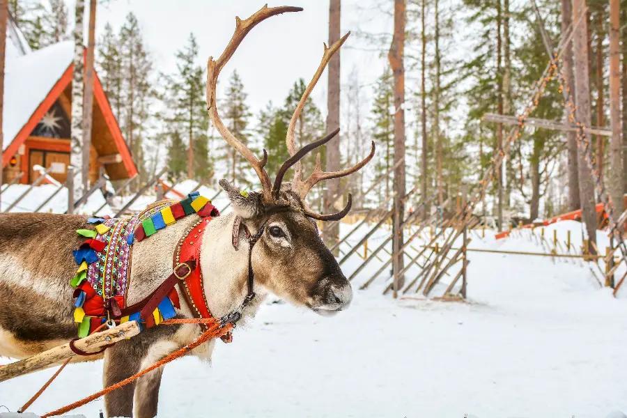 Finland