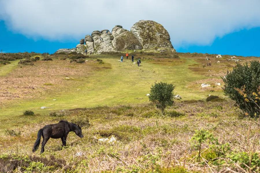 The Haytor Vale & Hound Tor Circular, Dartmoor, Devon