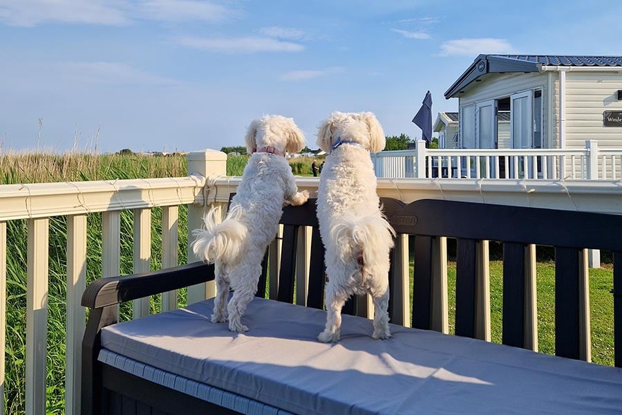 It’s a tough life, isn’t it?