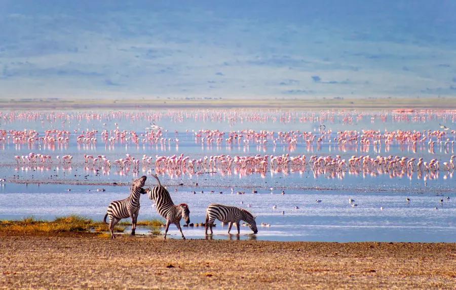 East Africa