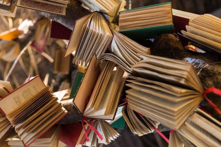 Monthly book reviews – dangerous lies, creepy parcels, and a lottery win