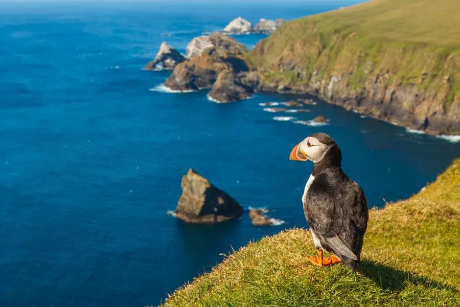 The Shetland Islands, Scotland