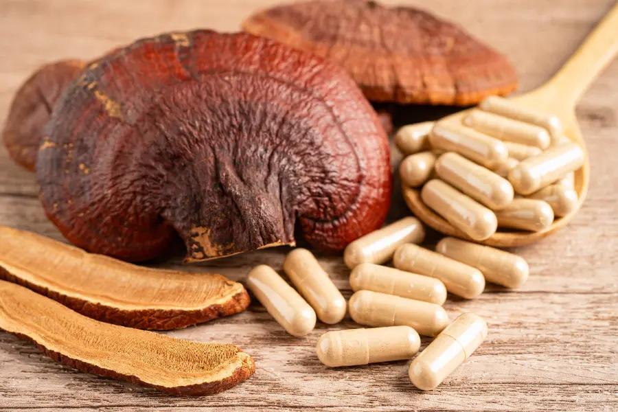 4 popular medicinal mushrooms and their uses