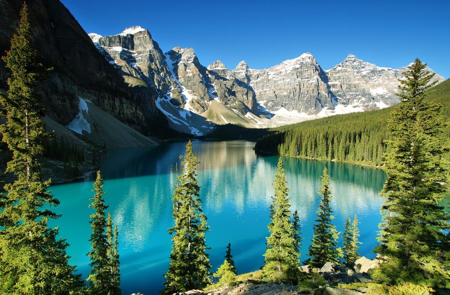 Highlights of Canada’s Wild West