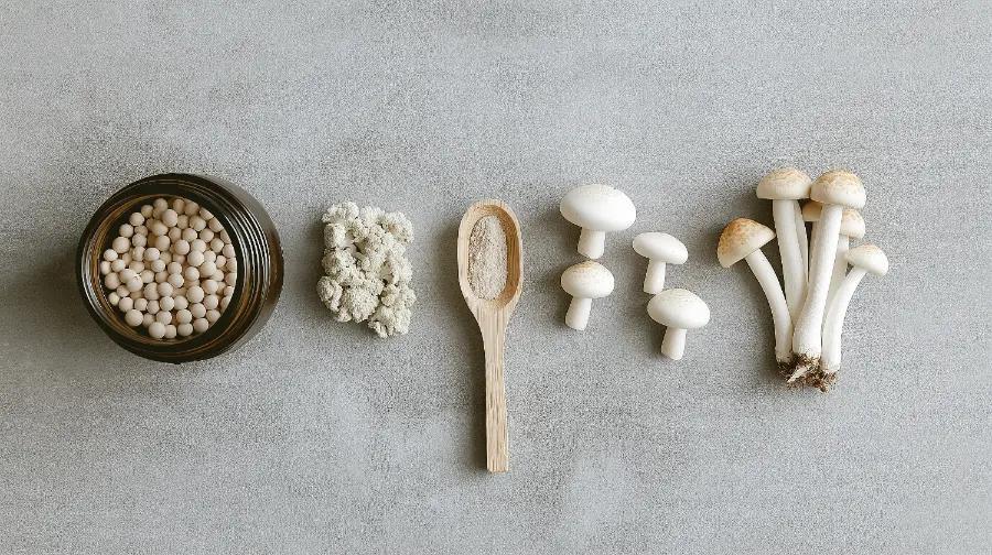 How long have mushrooms been used as medicine