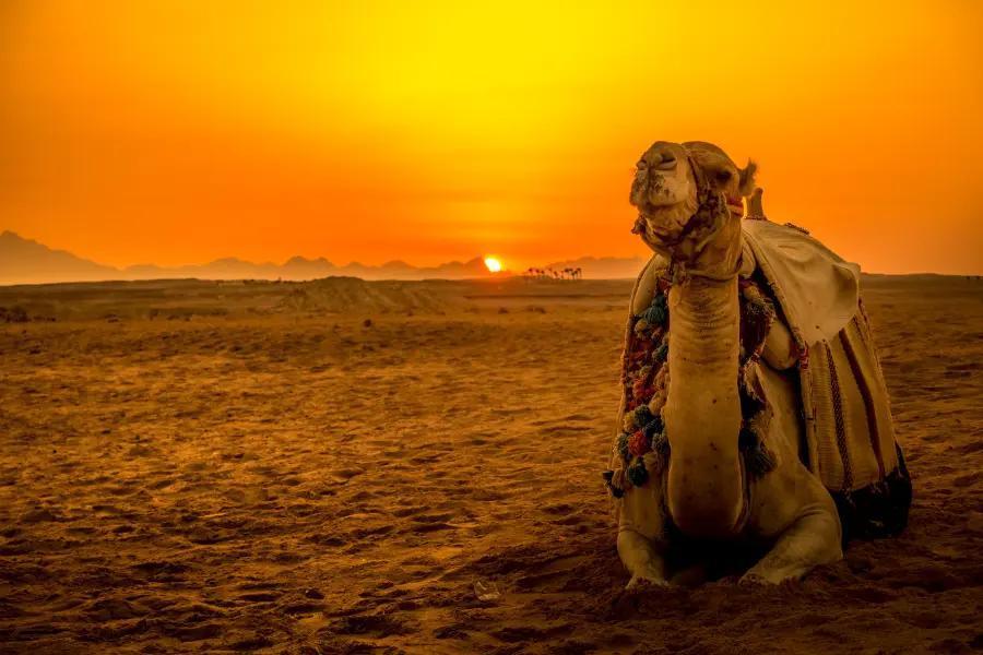 Hurghada, Egypt