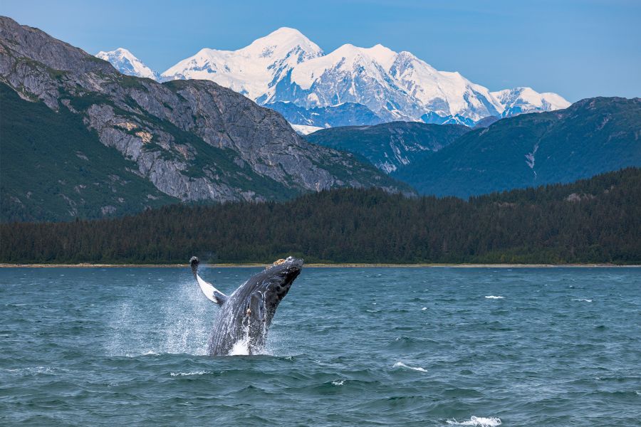 Northwest Passage Expedition – Vancouver to Tokyo