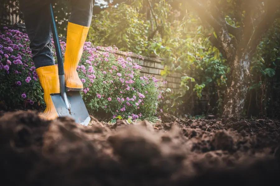 Refresh your soil