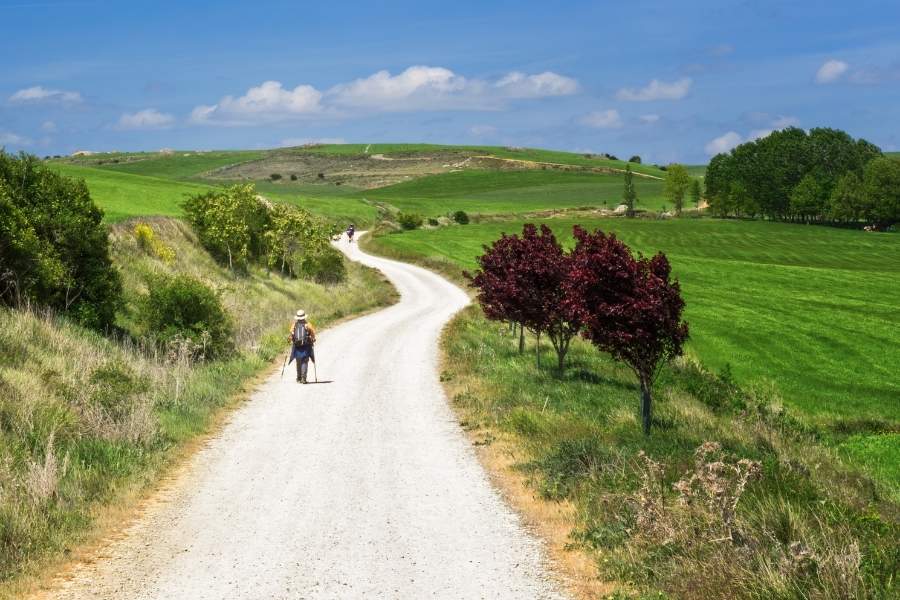 Walk the Camino de Santiago, Spain