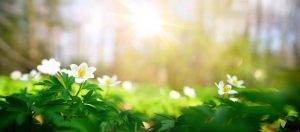 A Time for Reflection and Renewal