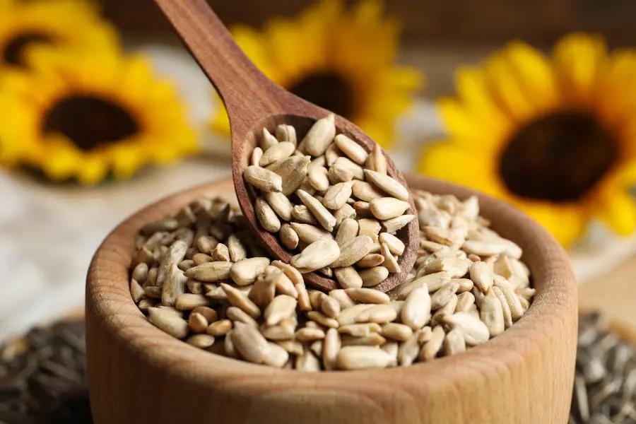 Sunflower seeds