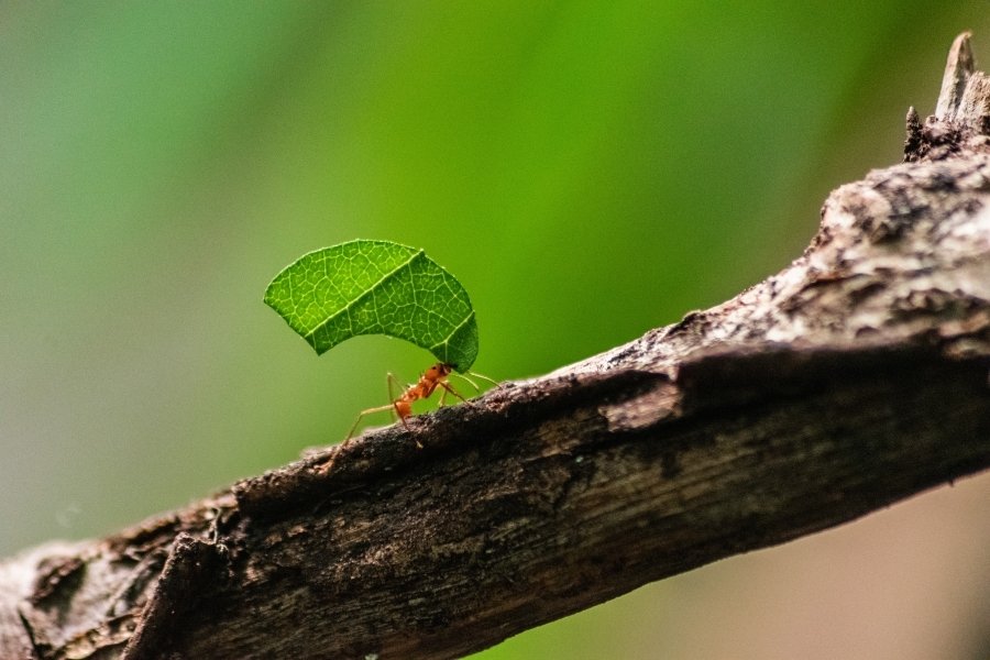 Start small