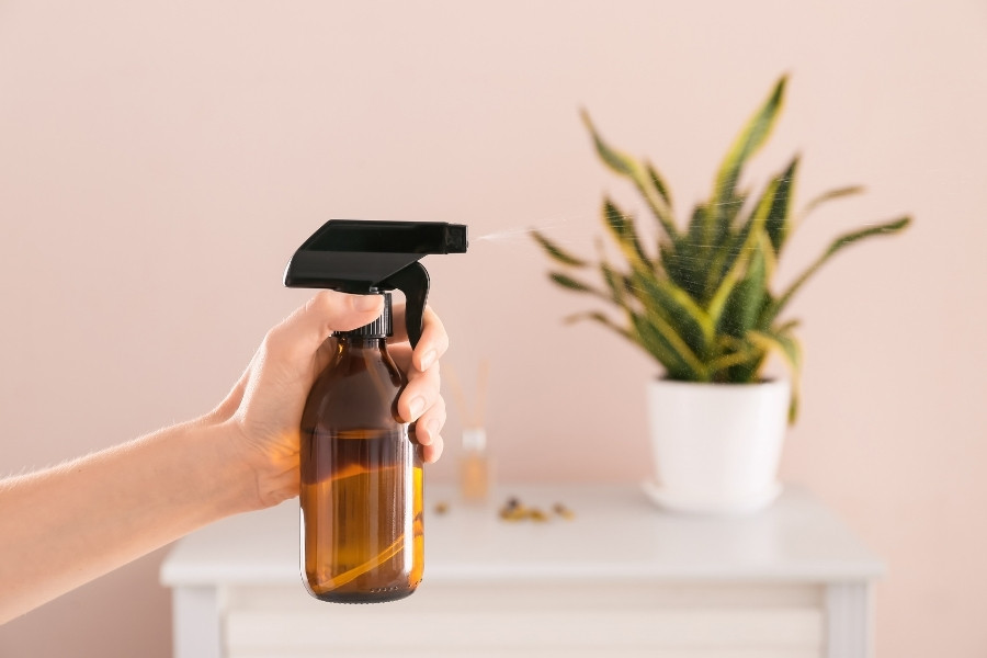 Use a homemade bug spray