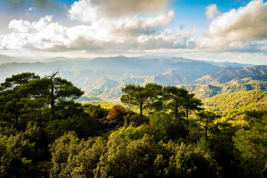 Cyprus