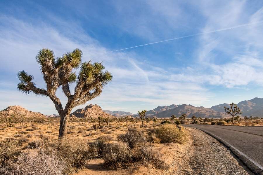 California Coast & Desert, USA