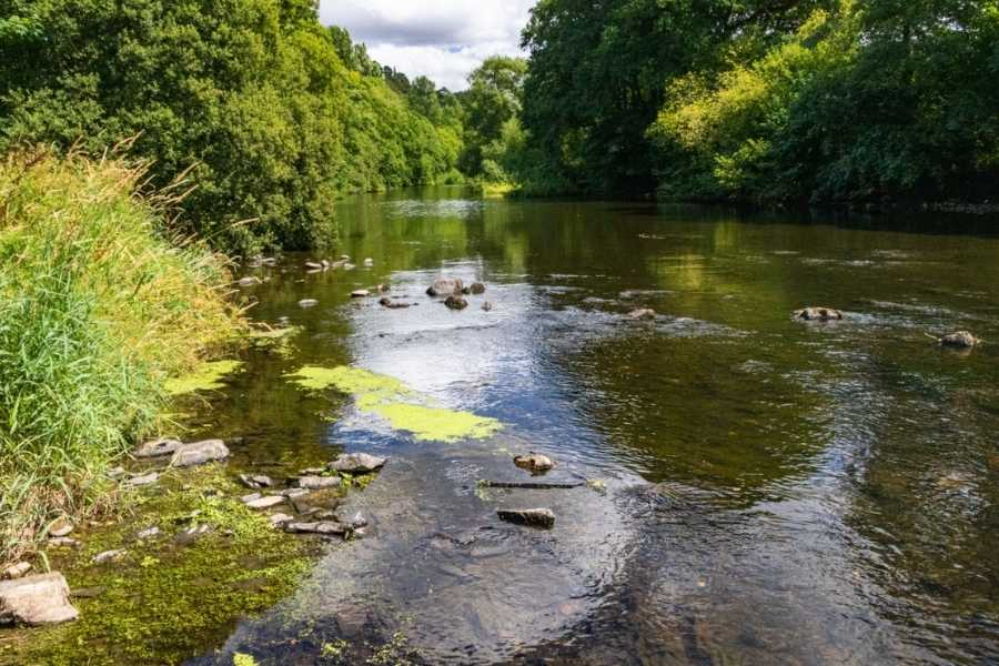 The River Torridge in Devon
