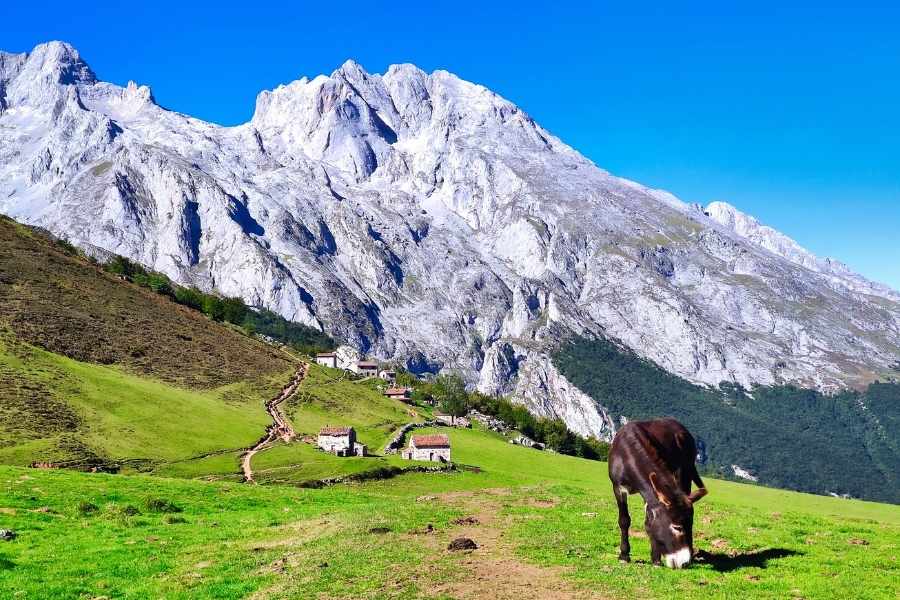 Trekking in Spain’s Picos de Europa