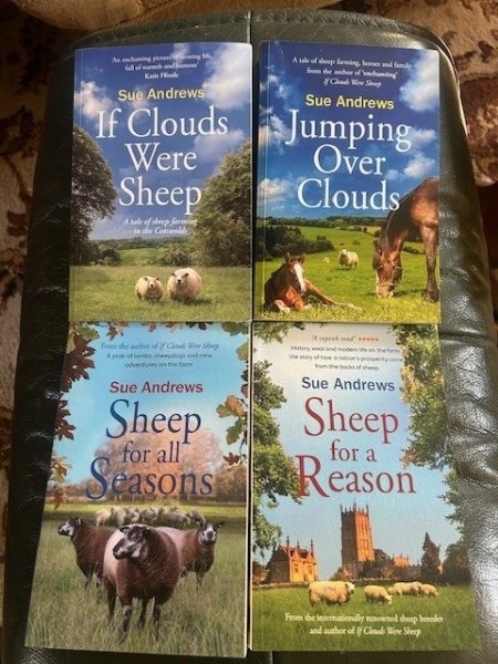Sue's published books