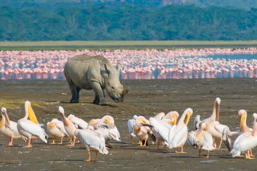 Beyond the safari, Kenya