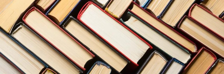 Monthly book reviews – feline spies, bedroom killers, and poolside romance