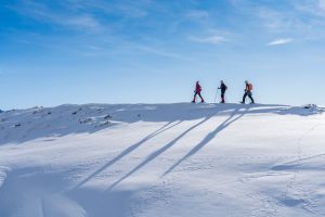 From whale-watching to camping on the ice – 8 unique experiences on an Antarctic expedition
