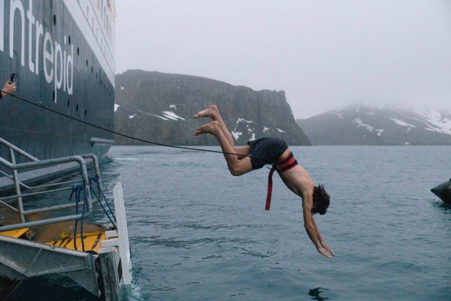 Take the polar plunge