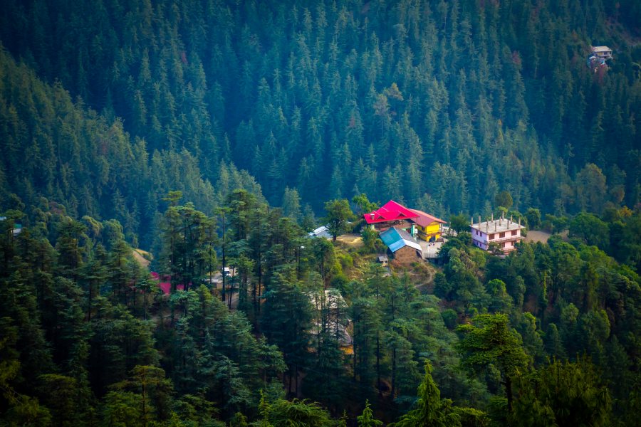 The Golden Triangle and Shimla