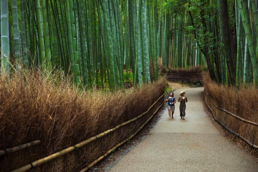 Back Roads of Japan