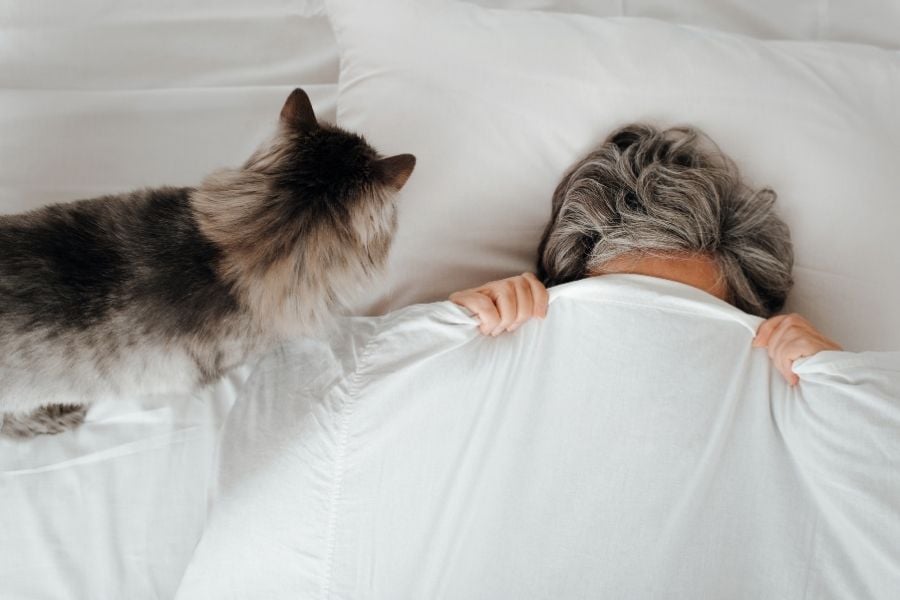 Get up at the same time every day
